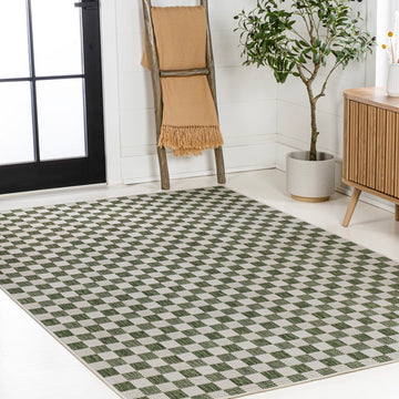 Aimee Traditional Cottage Checkerboard Indoor/Outdoor Area Rug
